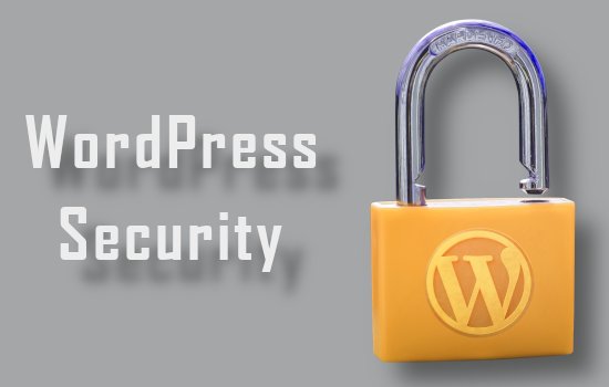 wordpress website security