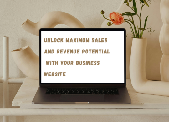 Maximize Business Website Revenue