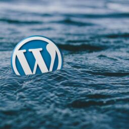 Must-Have WordPress Plugins